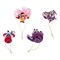 Kurt Adler 5.25-Inch Nutcracker Suite Ornament Set, 4 Piece Set
